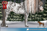 Horse Color:Liver Chestnut Tobiano Rabicano  and Buckskin Appaloosa 