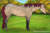 Horse Color:Painted Buckskin Ice Dun 