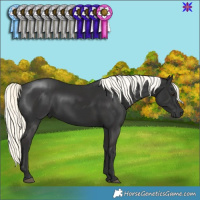 Horse Color:Liver Chestnut Mushroom Rabicano