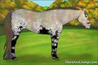 Horse Color:Nacre White Spotted Liver Red Dun Ice 