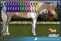 Horse Color:White Spotted Liver Red Dun Mushroom Rabicano 