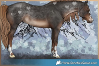Horse Color:Liver Chestnut 