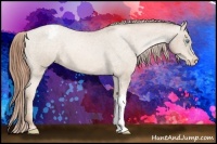 Horse Color:Buckskin Pearl Varnish 