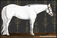 Horse Color:White Spotted Silver Classic Champagne Dun Splash Frame Appaloosa 