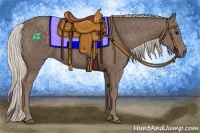 Horse Color:Silver Black 