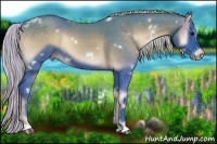 Horse Color:Watercolor White Spotted Silver Blue Onyx 