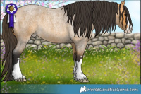 Horse Color:Buckskin Roan 