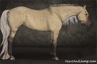 Horse Color:Silver Bay Dun 