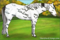Horse Color:Liver Chestnut Ice Frame 