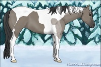 Horse Color:Smoky Grullo Tobiano