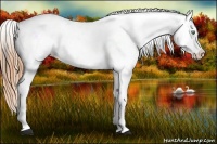 Horse Color:Amber Cream Champagne Dun Appaloosa and Amber Cream Champagne Dun Appaloosa
