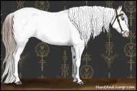 Horse Color:Liver Chestnut Appaloosa 