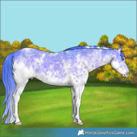 Horse Color:Watercolor White Spotted Black Ice Splash 