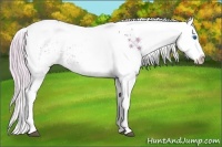 Horse Color:Watercolor White Spotted Silver Black Ice Splash