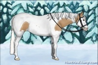 Horse Color:Silver Buckskin Splash Tobiano 