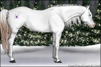 Horse Color:Amber Champagne Appaloosa  and Amber Champagne Appaloosa 