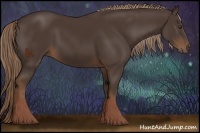 Horse Color:Liver Chestnut Frame 