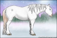Horse Color:Buckskin Roan Pearl Splash Varnish 