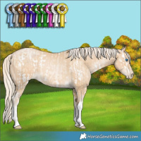 Horse Color:White Spotted Palomino Pearl Dun Splash and White Spotted Palomino Pearl