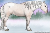 Horse Color:Silver Brown Roan Appaloosa 
