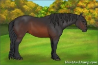 Horse Color:Brown 