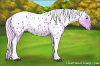 Horse Color:Watercolor Silver Brown Sabino Tobiano Near Leopard