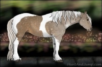 Horse Color:Silver Buckskin Tobiano 