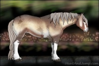 Horse Color:White Spotted Silver Bay Ice Onyx 