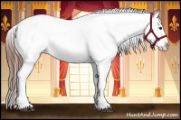 Horse Color:Red Dun Near Leopard 