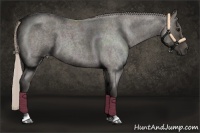 Horse Color:Silver Blue Roan 