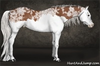 Horse Color:Silver Bay Ice Splash 