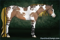 Horse Color:Painted Buckskin Splash Tobiano 