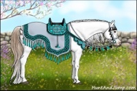 Horse Color:Buckskin Blanket Rabicano