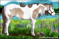 Horse Color:Chocolate Buckskin Splash Tobiano 