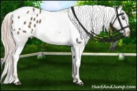 Horse Color:Chocolate Palomino Varnish 