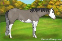 Horse Color:Smoky Grullo Splash
