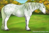 Horse Color:Watercolor White Spotted Chocolate Palomino Ice Roan