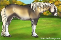 Horse Color:White Spotted Liver Red Onyx 