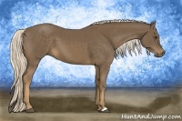 Horse Color:Chocolate Palomino 