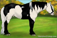 Horse Color:Cremello Splash Tobiano 