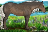 Horse Color:Liver Chestnut Rabicano