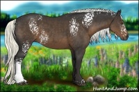 Horse Color:White Spotted Liver Chestnut 