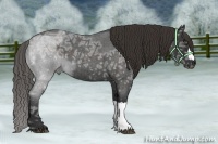 Horse Color:Liver Red Ice Roan 