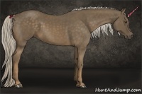 Horse Color:Chocolate Palomino 