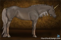 Horse Color:Chocolate Palomino 