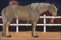 Horse Color:Chocolate Palomino 