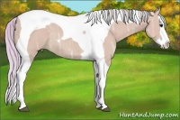 Horse Color:Watercolor Silver Grullo Ice Splash Tobiano Rabicano 