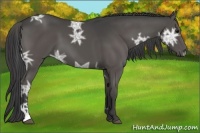 Horse Color:Smoky Black Ice Tobiano