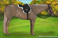 Horse Color:Chocolate Palomino 