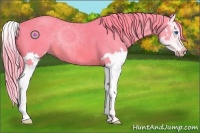 Horse Color:Watercolor Chestnut Splash 